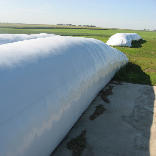 Silage Bags