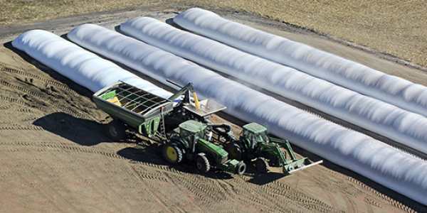 Crop Storage