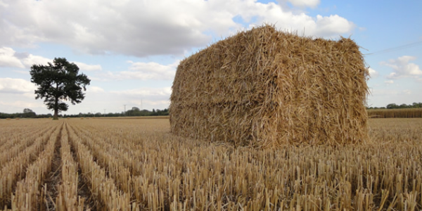 Baler Twine